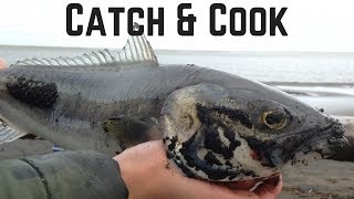 NZ West Coast Surfcasting  Port Waikato River Mouth  Kahawai Catch amp Cook Sashimi [upl. by Killy]