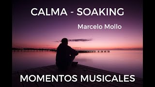 SOAKING  CALMA  MOMENTOS MUSICALES AMBIENTALES DE DESCANSO ESPIRITUAL  MARCELO MOLLO [upl. by Martz]