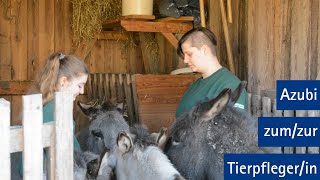 Ausbildung zur Tierpflegerin in der Fachrichtung Zoo  Abheber Ostwestfalen [upl. by Eizzil]