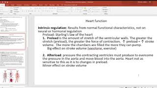 24 Pressure intrinsic and extrinsic regulation [upl. by Enait997]