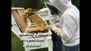 Sharons Hive Inspection 52024  Episode 14 LCH [upl. by Nnair]