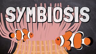 What is Symbiosis [upl. by Yllib]