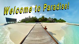 Welcome to Paradise Angsana Velavaru Maldives [upl. by Nnylamme]