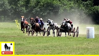 Buckboard Wagon Races  What About Bob Chuckwagon Races 2022  Sunday [upl. by Animas213]