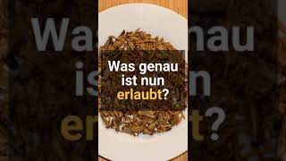 Insekten in Lebensmitteln Neue EURegel erlaubt Insektenpulver im Essen shorts [upl. by Pandich]