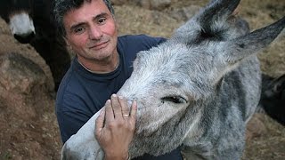 La ruta Garganta del Río Hoz y la Casa del Burro Rute Córdoba [upl. by Atiruam]