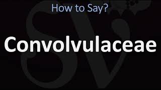 How to Pronounce Convolvulaceae CORRECTLY [upl. by Leirud]