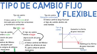 Tipo de cambio fijo y flexible  Cap 16  Macroeconomía [upl. by Marjana162]