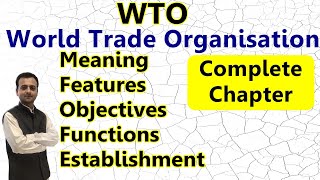 World Trade Organisation WTO Class 11 Business Studies  International Business WTO in Hindi BST [upl. by Cilegna567]