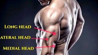 BUILD TRICEPS LIKE ARNOLD Schwarzenegger 9 Effective Exercises for Maximum Development [upl. by Cesar]