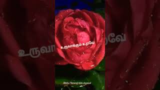 உங்க பிரசன்னத்தில்Tamil Christian songUnga Prasanathil siragilama song whatsapp status [upl. by Burhans]