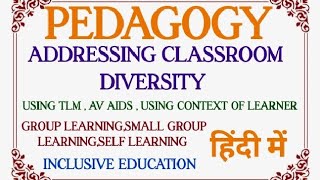 ADDRESSING CLASSROOM DIVERSITY IN HINDI । GROUP LEARNING । INCLUSIVE EDUCATION IN HINDI । RHT HINDI [upl. by Airotel]