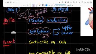 CVS cardiac Rhythmicity [upl. by Yasu]