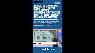 Health experts warn of seed tick risks during outdoor activities urge quick removal [upl. by Marilou969]