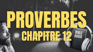 PROVERBE 12  LA BIBLE AUDIO avec textes [upl. by Adnovahs756]