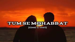 Tum se Mohabbat song  New song  hindi song  lofi song song trendingsong lofisong [upl. by Ahsinawt]