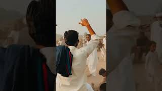 Punjabi cultur horse dance Punjab vellag life [upl. by Alpers757]