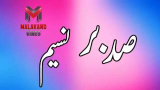 waheed gul qissa Sadbar ao Naseem Pashto Songs [upl. by Ailedroc]