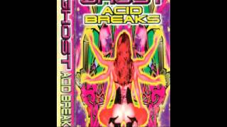 Dj Ghost Acid Breaks 96 [upl. by Tteltrab]