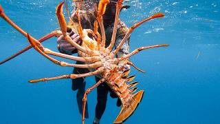 GIANT LOBSTER Bahamas Spearfishing Catch amp Cook [upl. by Sammie]