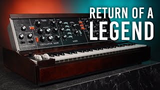 Minimoog Model D Return of a LEGENDARY Analog Synth [upl. by Iznyl143]