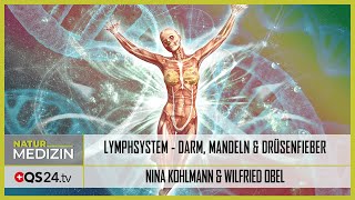 Darm Blinddarm Mandeln EBV und Drüsenfieber das Lymphsystem  Teil 2  QS24 [upl. by Jempty]