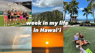 studentathlete week in my life at university of hawaii [upl. by Isidore284]