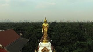 Au coeur de Bangkok la résistance du poumon vert [upl. by Jerad]