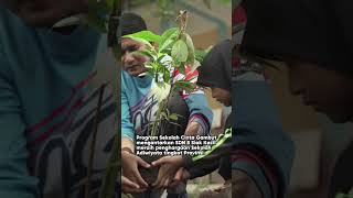 Merawat Lahan Gambut dari Ancaman KarhutlaKilang Sungai Pakning Antarkan Local Hero RaihPenghargaan [upl. by Sikko]