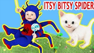 Itsy Bitsy Spider went up the waterspout Nursery Rhyme [upl. by Suryt]