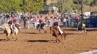 Norco Cowgirls cattle call rodeo 024 Brawley [upl. by Alegnat]