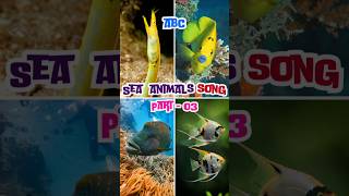 🐠Abc Sea Animals Song😱 music love beach nurseryrhymes shorts short shortsfeed shortsfeeds [upl. by Dag]