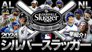 【MLB】2024年のシルバースラッガー受賞者を一挙紹介！今季の打撃スペシャリスト！ [upl. by Ennaegroeg599]