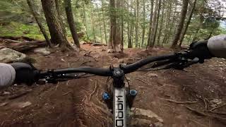 Sabertooth Horse  Whistler Bike Park [upl. by Leipzig]