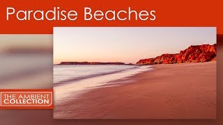 Relaxation DVD  Paradise Beaches Shot In HD With Nature Sounds [upl. by Elnukeda]