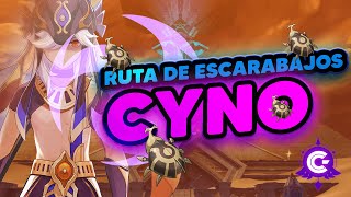 ✅RUTA de ESCARABAJOS para CYNO 🔥  Genshin Impact [upl. by Aicilev]