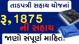 તાડપત્રી સબસીડી યોજના 202324  ઓનલાઈન અરજીtadpatri sahay yojana 2023 online khedut Yojana [upl. by Roslyn]