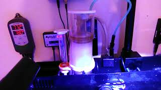 Made a recirculating CO2 scrubber for Ice Cap Nano skimmer [upl. by Tadashi520]