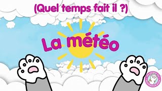 La météo Quel temps fait il   Chanson éducative  Professeur Baba [upl. by Zeba]