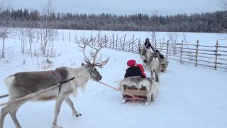 Lapland 2015  Sunway Travel Group [upl. by Otrebtuc536]