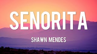 Señorita  Shawn Mendes Lyrics  Ed Sheeran One Direction Ali Gatie [upl. by Alley]