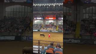 The Ultimate Bull Fighters bullfight bullfighters manvsbeast [upl. by Katzen260]