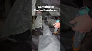 Cooking Hot Dogs While Camping In Deep Alaska Rainforest [upl. by Anoid]