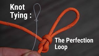 How To Add A Loop On Your Leader  How To Tie The Perfection Loop [upl. by Essilem]