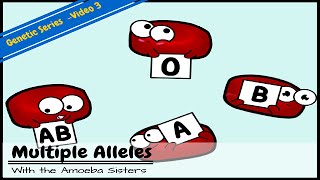 Multiple Alleles ABO Blood Types and Punnett Squares [upl. by Anyela]