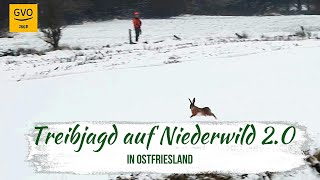 Treibjagd auf Niederwild in Ostfriesland 20  ein herrlicher Jagdtag mit guter Strecke [upl. by Annaohj]