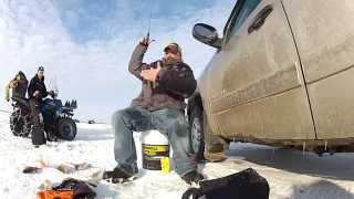 Ice Fishing Walleyes and Whitebass on Lake Poygan [upl. by Isewk]