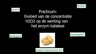 Wat gebeurt er met een aardappel in waterstofperoxide De werking van katalase in beeld [upl. by Ibbor]