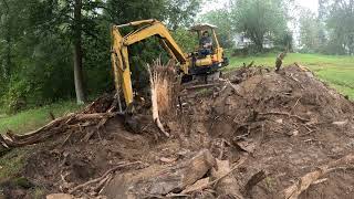 Cleaning up a fallen tree with an excavator [upl. by Gilbertina21]