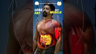 Lose Fat Without Losing Muscle 3 tips [upl. by Nnod]